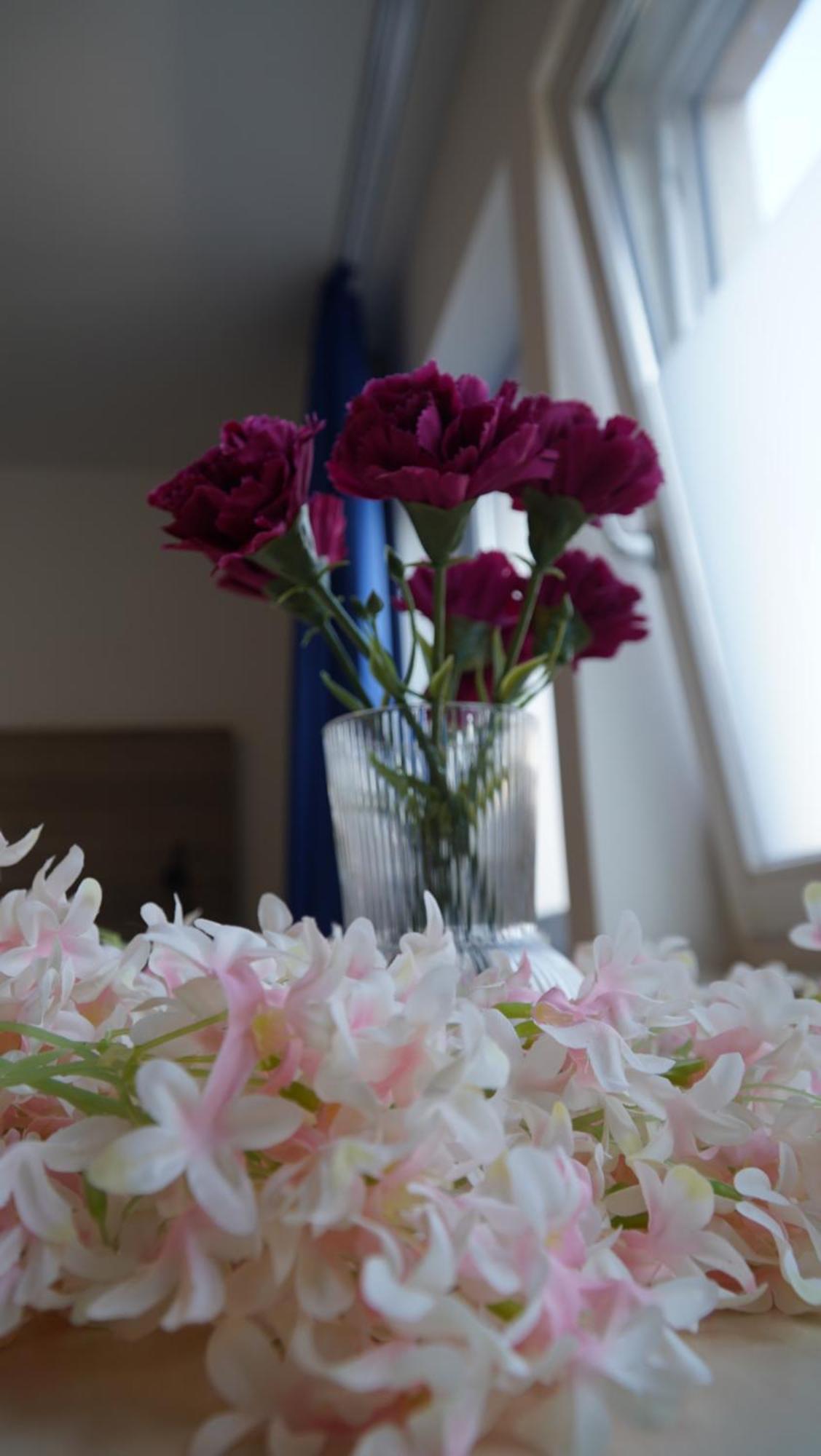 Mk Hostel Oyten - Free Wifi & Parking - 24H Check-In エクステリア 写真